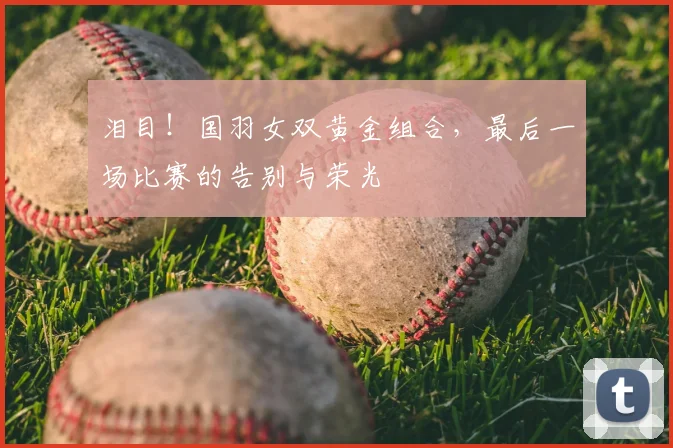 泪目!国羽女双黄金组合,最后一场比赛的告别与荣光